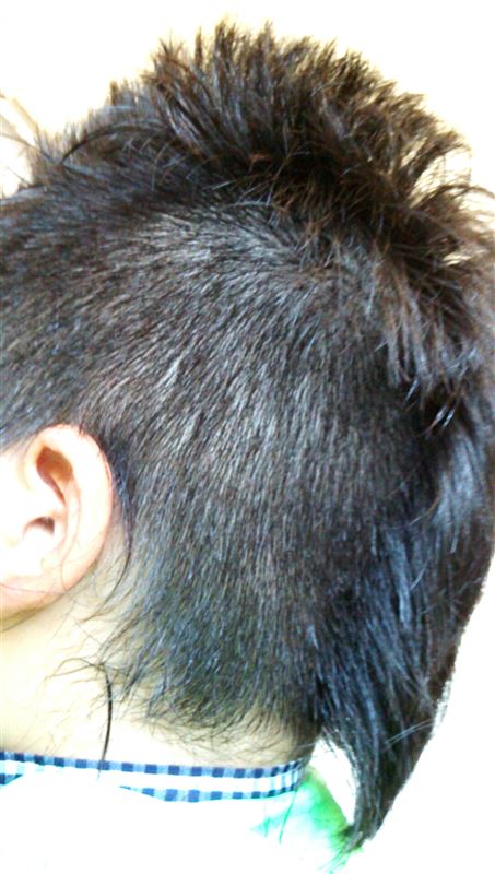 暑い夏は虎刈りで いばらき発おバカな夫婦 のブログ 大バカ小バカ みんカラ