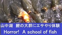 ドライブスポット山中湖で恐怖体験ｗ この動画みて、どう思います？