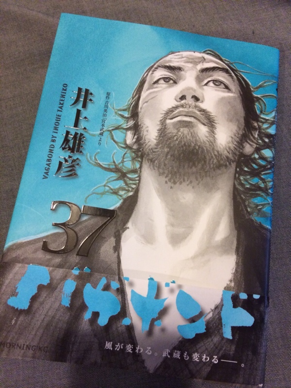 バガボンド37巻 地味な生き方にこそ ひでエリのブログ エリナナメル日記 みんカラ