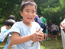おはやう おはやう