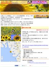 すげ〜 35万本のひまわり畑❗️❗️ すげ〜 35万本のひまわり畑❗️❗️