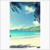 summer♪