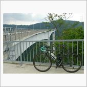 自転車日和に・・・なるはずだ ...