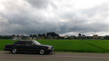 本当に情けない