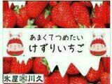 「イチゴ」＆「メロン」＆「スイカ」＆（●＾o＾●）
