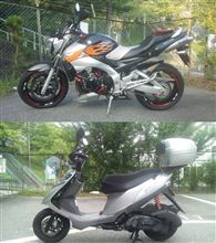 車弄りしてないな～