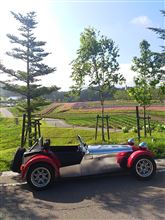 朝のお散歩＾＾
