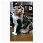 やっちゃったよ(￣▽￣)b