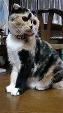 やっちゃったよ(￣▽￣)b
