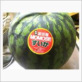 スイカ買いに松本へ...