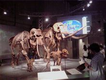 太古の哺乳類展－日本の化石でたどる進化と絶滅－