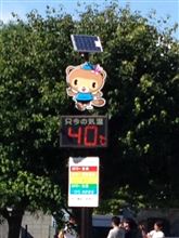 テレビに映っちゃいました(^^;; テレビに映っちゃいました(^^;;