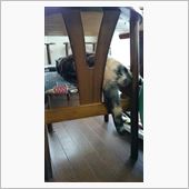 台風ですねぇ(。&gt;д&amp;lt;)