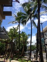 ちょっとお洒落なオフ会？ in Hawaii その２♪