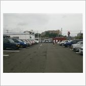 持つべきものは友なり