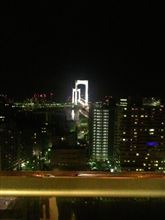 東京湾大華火祭