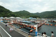 つくみイルカ島と鉄輪温泉 つくみイルカ島と鉄輪温泉