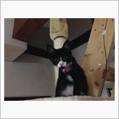 我が天下！！