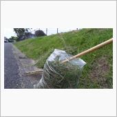 公園の草刈り