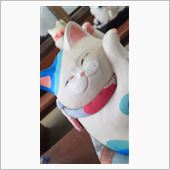 ニャにかしらｎ。(*^_^*)