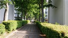 誘われるがままに 誘われるがままに