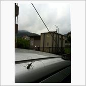 夏休みのお出かけ～熊本編～