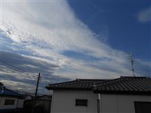 なんか変な1日。。