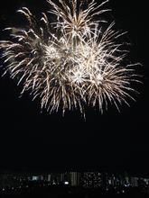 花火と金魚と相方と