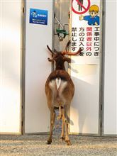 しかたな…