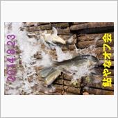 洞戸観光やなオフ会