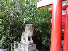 同じ色 同じ色