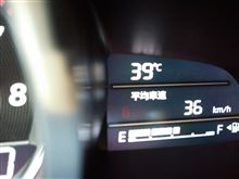 今年の夏も。。。