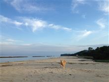 さよなら夏の日