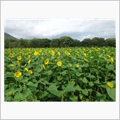 8月終了