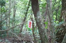 へんろ道