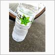 夏の終わり　秋のはじまり