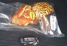 大きなキノコ「アカマヤドリ」でパスタ