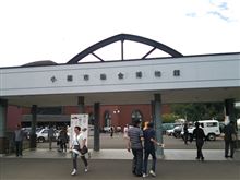 小樽100kmライドと小樽クラシックカー博覧会