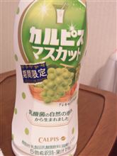 カルピス買いに行ったら♪ヽ(・∀・)ノ