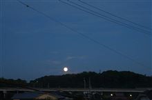 小判月夜