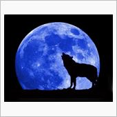 9日の夜は