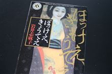 遊郭で醜い女郎が語ってくれました…。