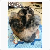 でたしやってるし(*￣∇￣)ノ