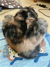 でたしやってるし(*￣∇￣)ノ