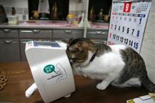 喉元過ぎても（笑）