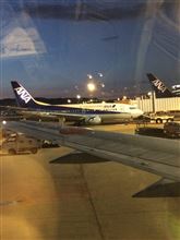早速撮ってみた