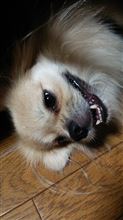 ワガママ ワガママ