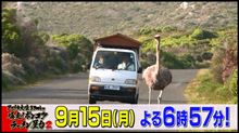 アフリカ大陸3700km爆走！ポンコツラーメン屋台２