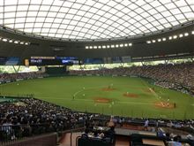 野球観戦（埼玉西武VS東北楽天）