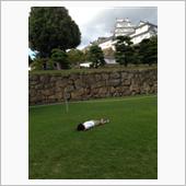 イイ天気だったので